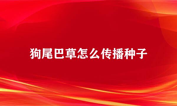 狗尾巴草怎么传播种子