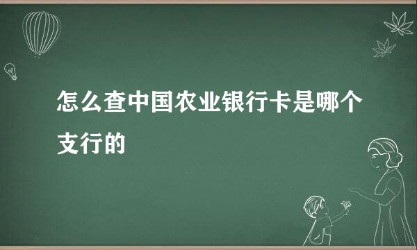 怎么查中国农业银行卡是哪个支行的