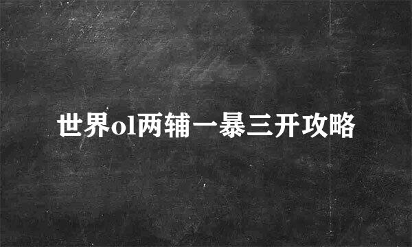 世界ol两辅一暴三开攻略