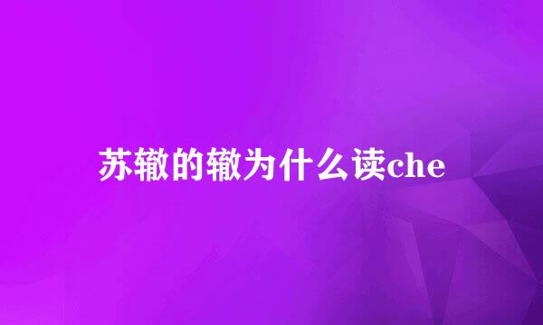 苏辙的辙为什么读che