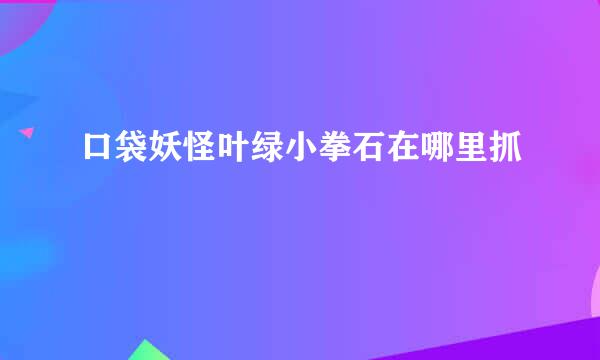 口袋妖怪叶绿小拳石在哪里抓