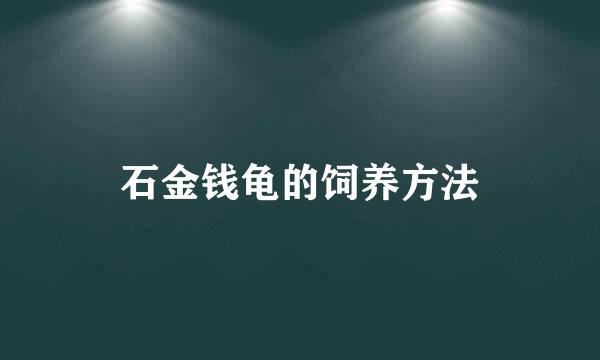 石金钱龟的饲养方法