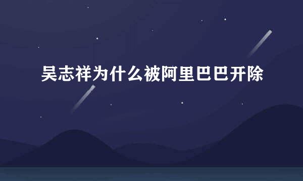 吴志祥为什么被阿里巴巴开除