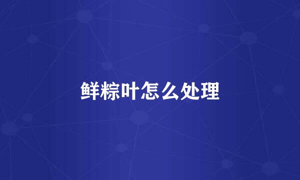 鲜粽叶怎么处理