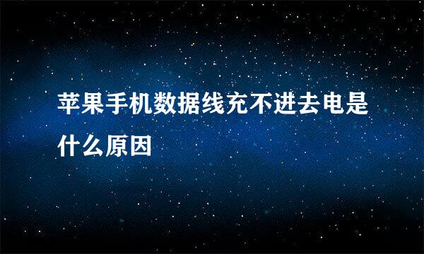 苹果手机数据线充不进去电是什么原因