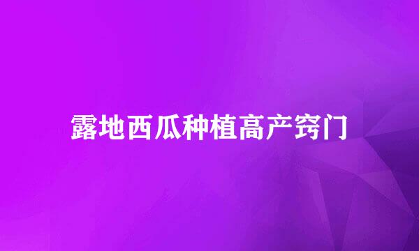 露地西瓜种植高产窍门