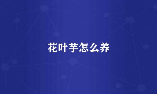 花叶芋怎么养
