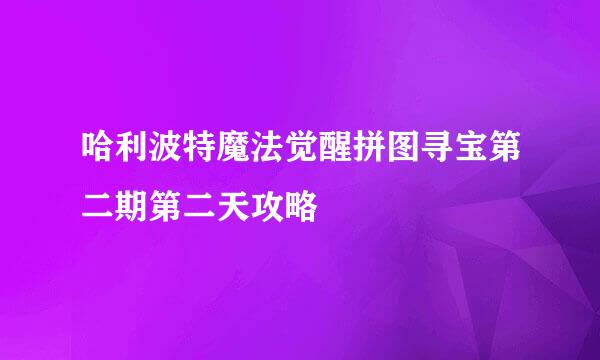 哈利波特魔法觉醒拼图寻宝第二期第二天攻略