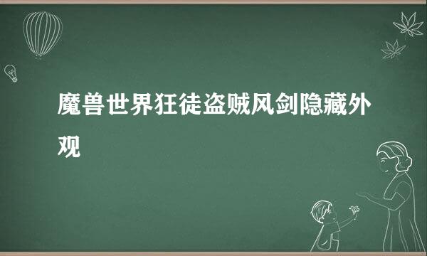 魔兽世界狂徒盗贼风剑隐藏外观