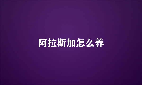 阿拉斯加怎么养