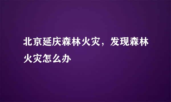 北京延庆森林火灾,发现森林火灾怎么办