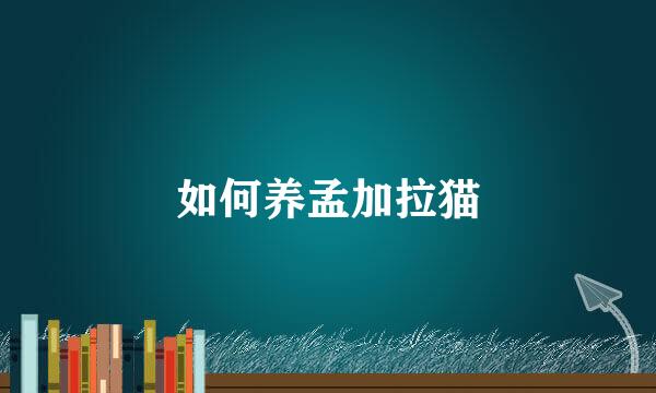 如何养孟加拉猫