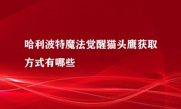 哈利波特魔法觉醒猫头鹰获取方式有哪些