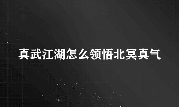 真武江湖怎么领悟北冥真气