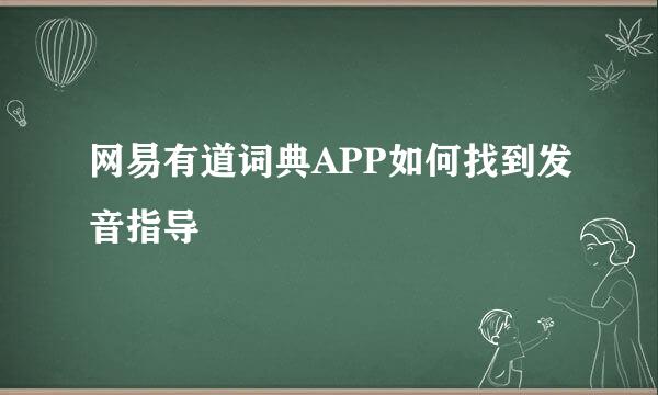 网易有道词典APP如何找到发音指导