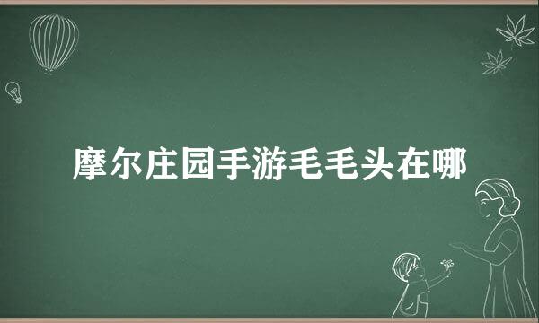 摩尔庄园手游毛毛头在哪