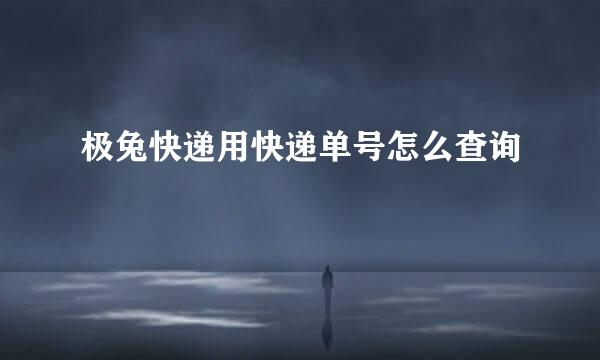 极兔快递用快递单号怎么查询