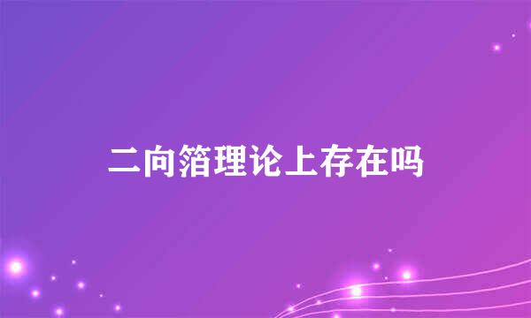 二向箔理论上存在吗