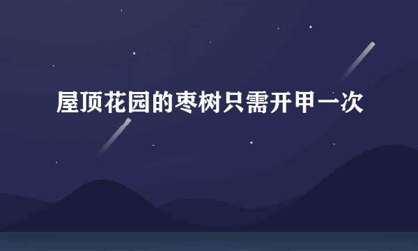 屋顶花园的枣树只需开甲一次