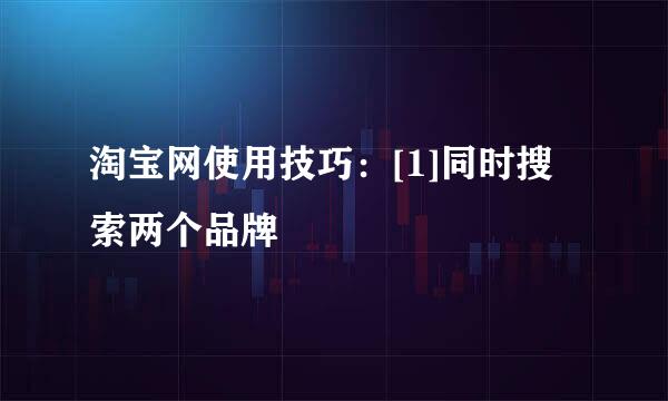 淘宝网使用技巧：[1]同时搜索两个品牌