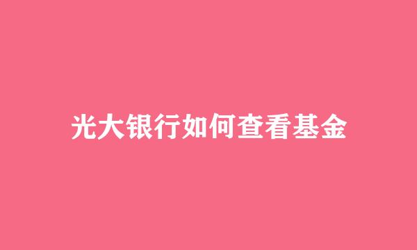光大银行如何查看基金