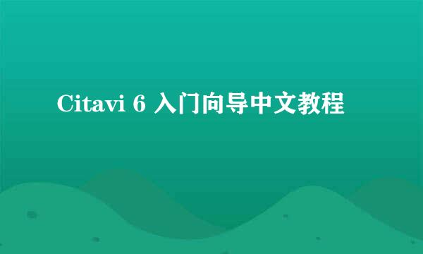 Citavi 6 入门向导中文教程