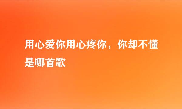 用心爱你用心疼你，你却不懂是哪首歌