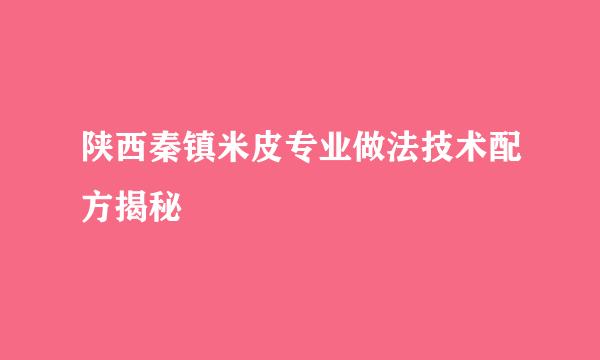 陕西秦镇米皮专业做法技术配方揭秘
