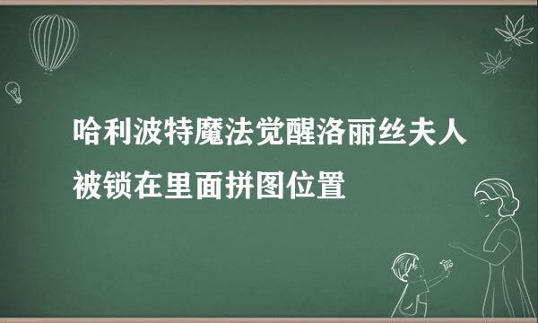 哈利波特魔法觉醒洛丽丝夫人被锁在里面拼图位置