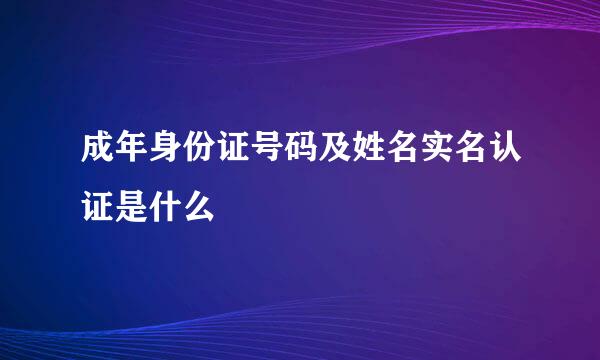 成年身份证号码及姓名实名认证是什么