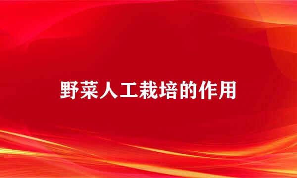 野菜人工栽培的作用