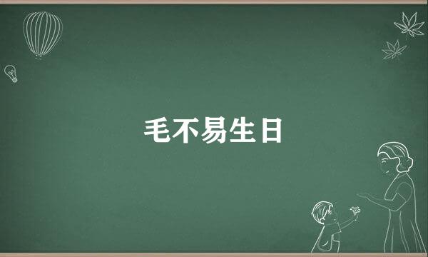 毛不易生日