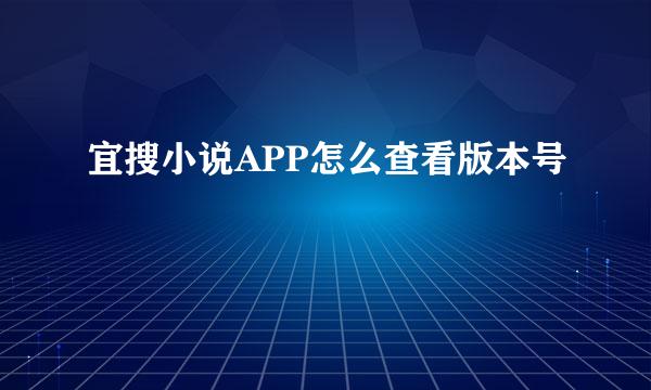 宜搜小说APP怎么查看版本号