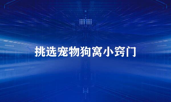 挑选宠物狗窝小窍门
