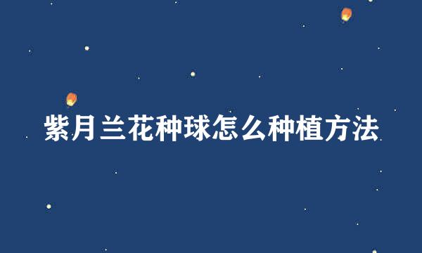 紫月兰花种球怎么种植方法