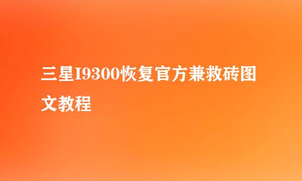 三星I9300恢复官方兼救砖图文教程