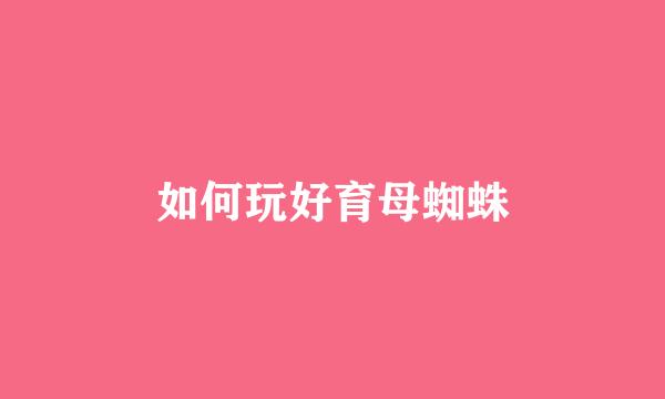 如何玩好育母蜘蛛