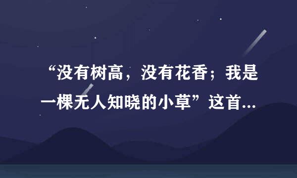 “没有树高，没有花香；我是一棵无人知晓的小草”这首歌叫什么
