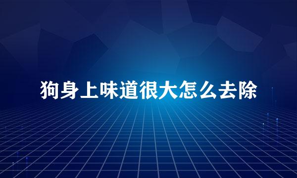狗身上味道很大怎么去除