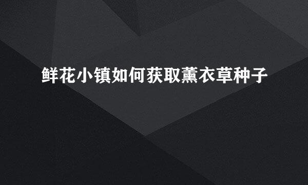鲜花小镇如何获取薰衣草种子