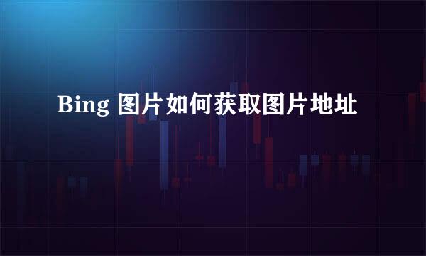Bing 图片如何获取图片地址