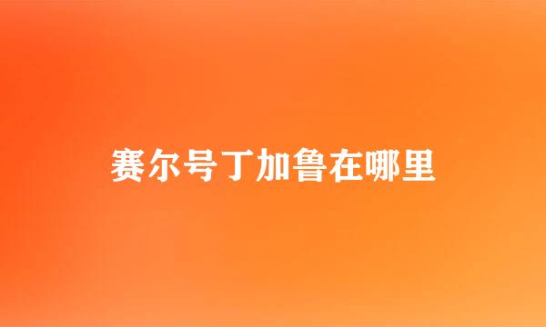 赛尔号丁加鲁在哪里