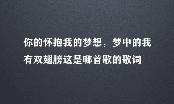 你的怀抱我的梦想，梦中的我有双翅膀这是哪首歌的歌词