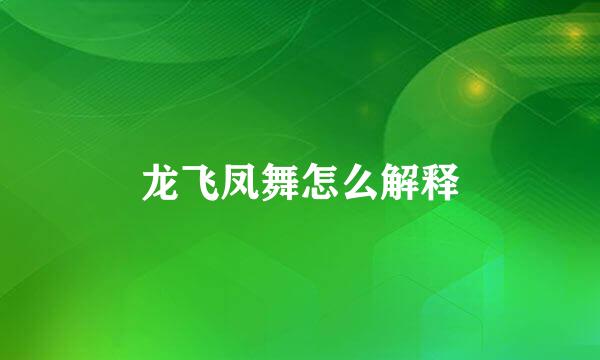 龙飞凤舞怎么解释