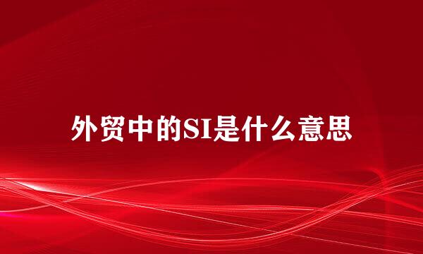 外贸中的SI是什么意思
