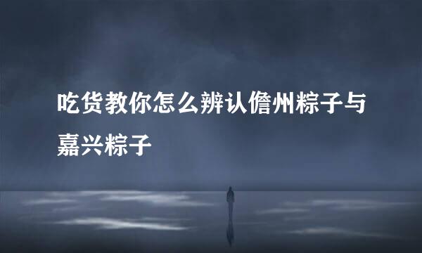吃货教你怎么辨认儋州粽子与嘉兴粽子