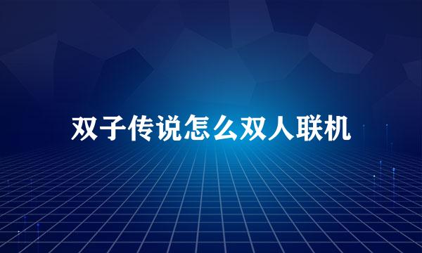 双子传说怎么双人联机