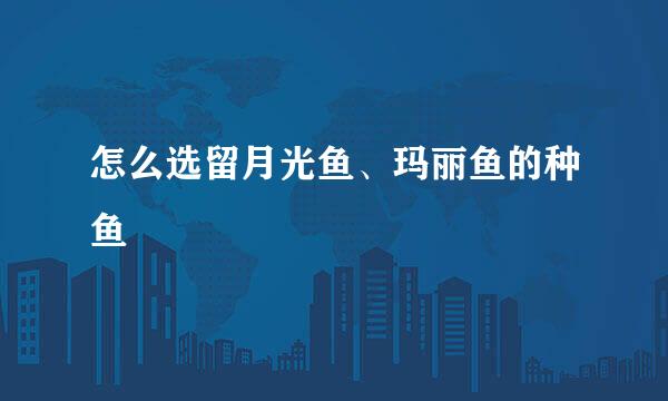 怎么选留月光鱼、玛丽鱼的种鱼