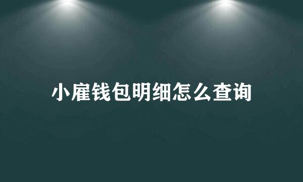 小雇钱包明细怎么查询