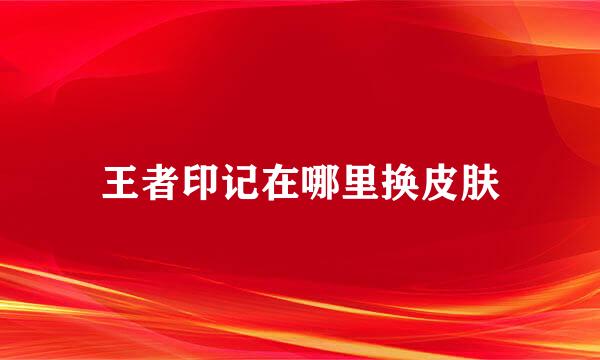 王者印记在哪里换皮肤